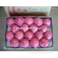 /msite/products/detail/productid/54855465/id/542998.html